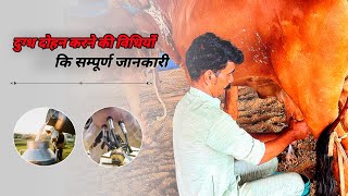 Method of milking || दुग्ध दोहन की विधिया। ॥#youtube #youtubevideo