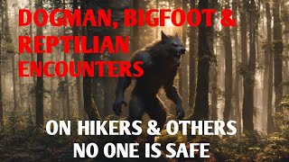 DOGMAN, BIGFOOT & REPTILIAN ENCOUNTERS ON HIKERS & OTHERS NO ONE IS SAFE