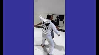 Ju jitsu  Best flying armbars