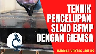 How to stain Blood film for malaria parasite (BFMP) slide using Giemsa