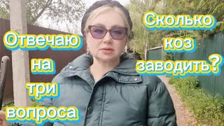 Отвечаю на три вопроса.Сколько заводить коз?