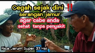 Part 5 : ⚕Lebih baik mencegah daripada mengobati - RACIKAN AMPUH CEGAH JAMUR MUSIM HUJAN