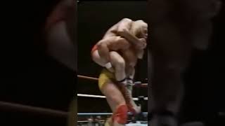 Remembering The Iron Sheik