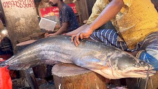 Giant Wallago Attu Boal Fish Cutting Skill | Boal Fish Cutting Skill |