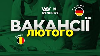 Робота в Німеччині та Бельгії