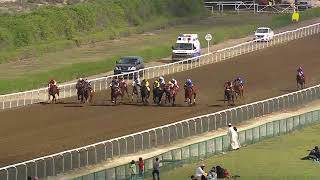 Jebel Ali 01 03 24 Race 2