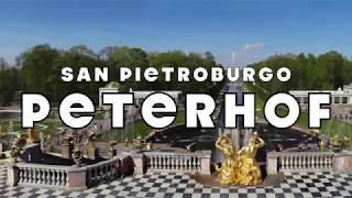 San Pietroburgo - Peterhof in bicicletta (СПБ-Петергоф на велике)