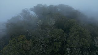 Ascenso al Cerro Turrubares - Costa Rica - Ruta en anillo, desnivel 921 metros