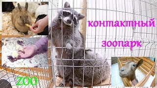 Контактный зоопарк. Животные - лучшие друзья детей.