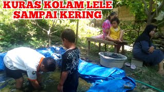 KURAS KOLAM LELE SAMPAI KERING