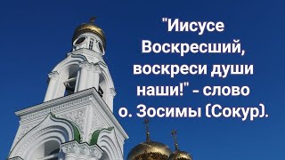 "Иисусе Воскресший, воскреси души наши!" - Слово схиархимандрита Зосимы (Сокур).