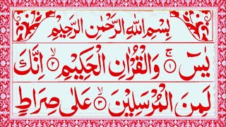 Surah Yaseen | Yasin Sharif | Episode 559 | With Arabic Text HD | Read Daily Quran