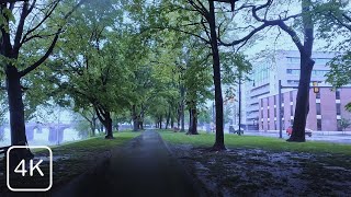 Relaxing Rainy Walk at Susquehanna River Front, USA. Rain and Nature sound for Relaxation 4K #asmr