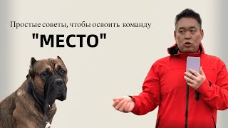 Команда "Место", рассказываю то, что необходимо знать. Основные принципы