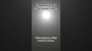 Fenomena Langka Super Hunter's Moon Bulan Purnama Paling Besar Dan Bersinar Terang Kamis 17 Okt 2024