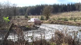 Forest of dean rally 2014