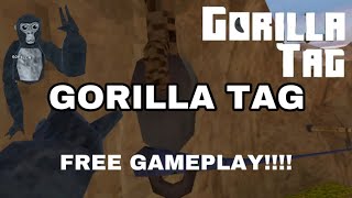 FREE GORILLA TAG GAMEPLAY!!!(pls credit, u don’t have to but it would be nice)