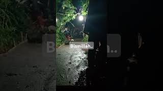 Viral!! LEMBUR DIKUBURAN