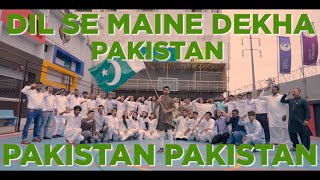 Dil Se Maine Dekha Pakistan x Pakistan Pakistan (OfficialMusicVideo) HD