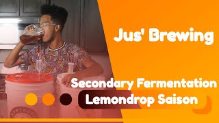 Secondary Fermentation with Northern Brewer's Lemondrop Saison