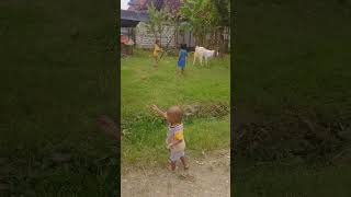 ADIK-ADIK BERMAIN BERSAMA KAMBING #konten #anakanak #shortvideo #belajar #kambing #ternakkambing