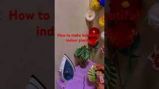 How to make beautiful indoor plants