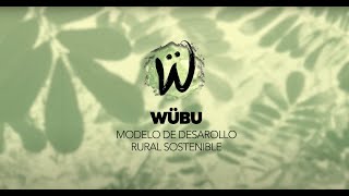 The Evolution Of WUBU 🎋 Bamboo in Guatemala #bamboo 🌎 🌱👌