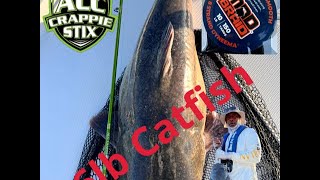 How I caught a Giant Monster Catfish using 8' ACC Crappie Stix!! #garmin #livescope #acccrappiestix