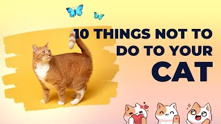 10 Things Not to Do to Your Cat