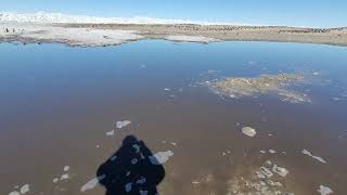 Cape Adare, Antarctica. Penguin poo soup.