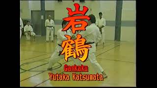 Yutaka Katsumata Gankaku Bunkai