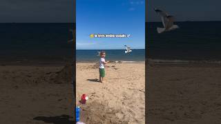 His new favourite thing is to #feed the #seagulls at the #beach 👶🕊️🌊 #aberdeenbeach #toddler