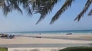 The calm beach of Oman #shorts #oman #ocean