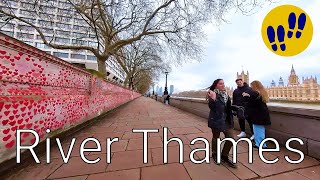 Walking in the River Thames - London, UK