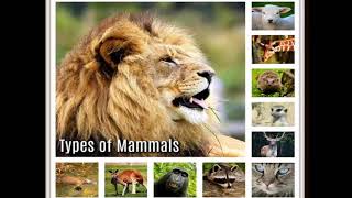 Online Self-Learning in LS-2 Science ~ Learning and Understanding Animals