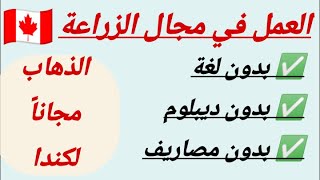 عاجل ومجاني 🔥✋ العمل في مجال الزراعة في جميع كندا🇨🇦 كل المصاريف على حساب المشغل #بدون_شهادة_ولا_لغة