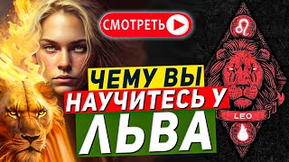 Чему вы научитесь у Льва — знак зодиака