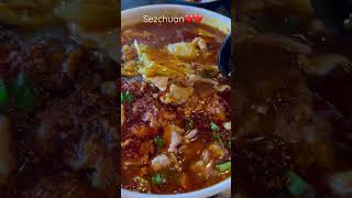 Sezchuan for dinner #szechuan #chinesefood #spicyfood