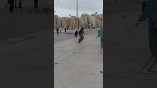 Masyaallah serunya bermain burung dihalaman masjid Nabawi #masjidnabawi #mekkahmadinah #ibadahumroh