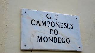 Grupo Folclórico Camponeses do Mondego - "Balancé"