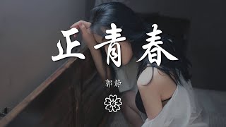 郭靜 - 正青春『我只求 能有一秒  像螢火  去飛行』【動態歌詞Lyrics】