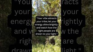 What Kind of Tribe Does Our Vibe Attract? #motivation #transformation #mindset #success