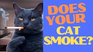 My Cat is a Smoker?! 😱