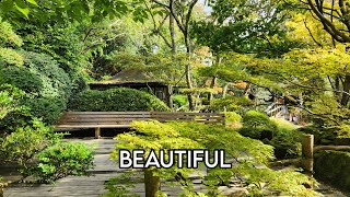 Japanese Garden near Newquay, Cornwall🧘🏼‍♀️