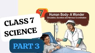 CLASS 7 SCIENCE CHAPTER 7 HUMAN BODY -- A WONDER NERVOUS CO-ORDINATION PART 3