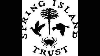 Spring Island Osprey Live Stream