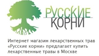 Гриб мeйтаке.Купить в интернет магазине лекарственных трав