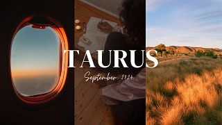 TAURUS 🐂 September 2024 Tarot Reading (healing is a process) 🚀