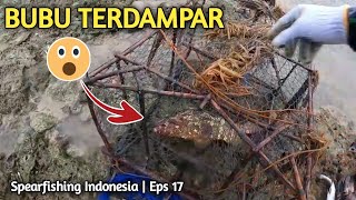 Kirain Isinya Apa❗️ Spearfishing Indonesia | Eps 17