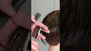 David Beckham Classic Taper Haircut Tutorial using Scissors #short #shorts